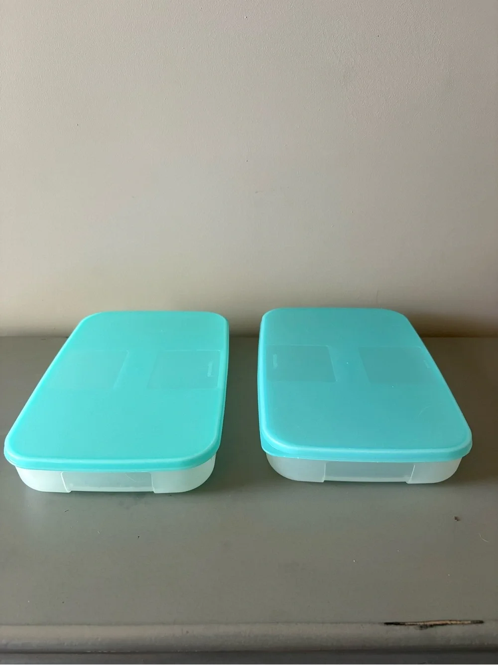 Tupperware Freezer Mates Set of 2 Rectangular Storage Containers Teal Aqua